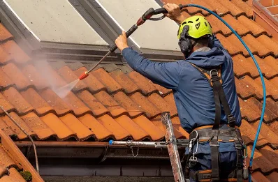 Démoussage et hydrofuge de toiture à Cambieure